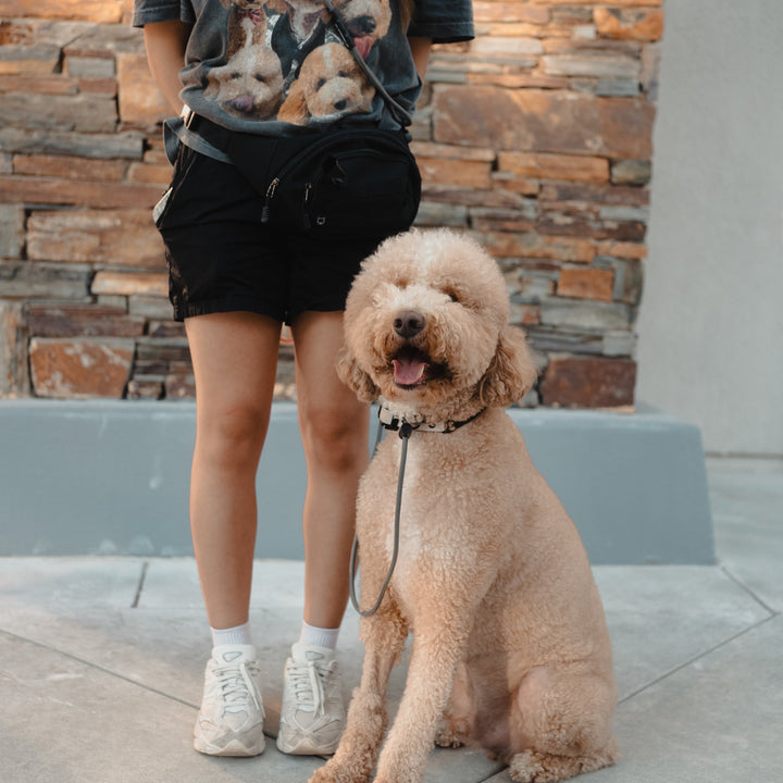 Hand Free Slip Leash